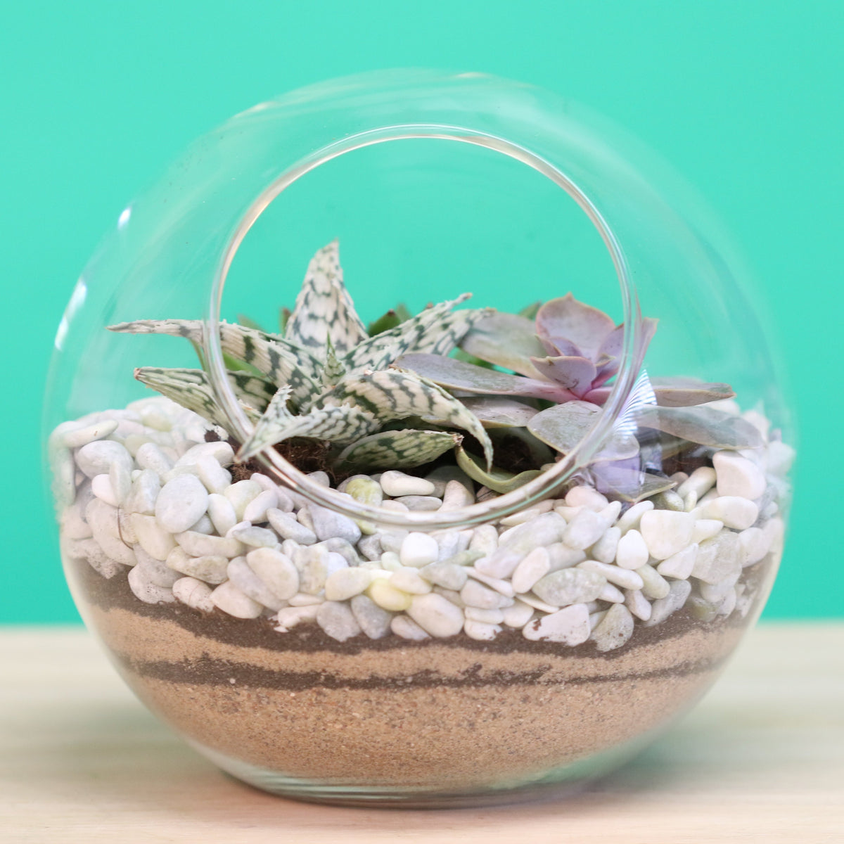 Terrarium Workshop - Thursday, April 16th 2026 at 6:00 pm