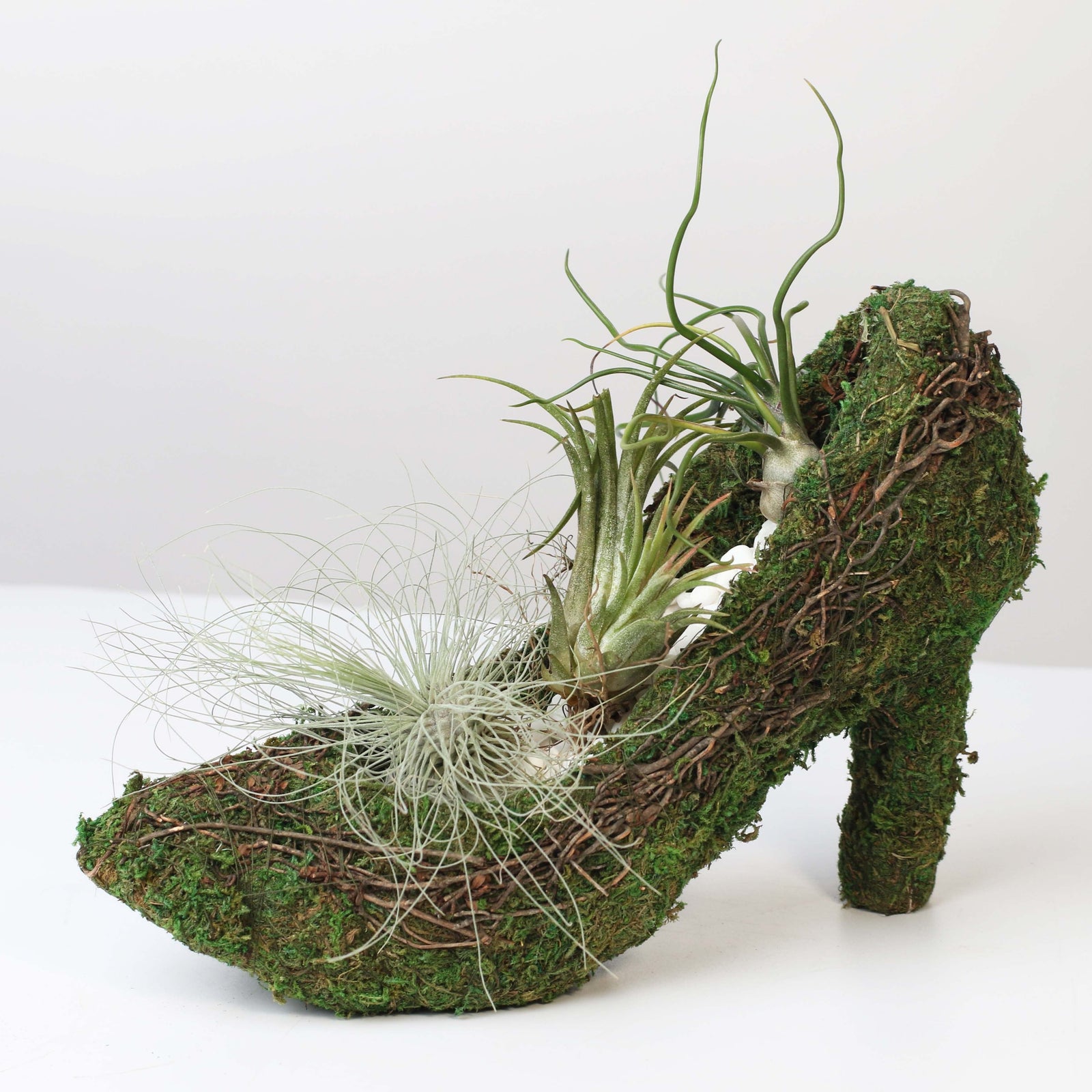 Stiletto Moss Planter Kit