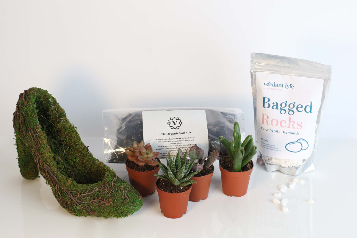 Stiletto Moss Planter Kit