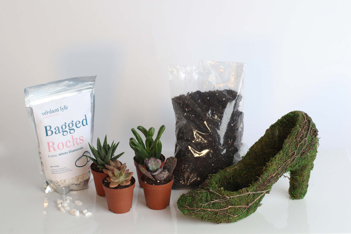 Stiletto Moss Planter Kit