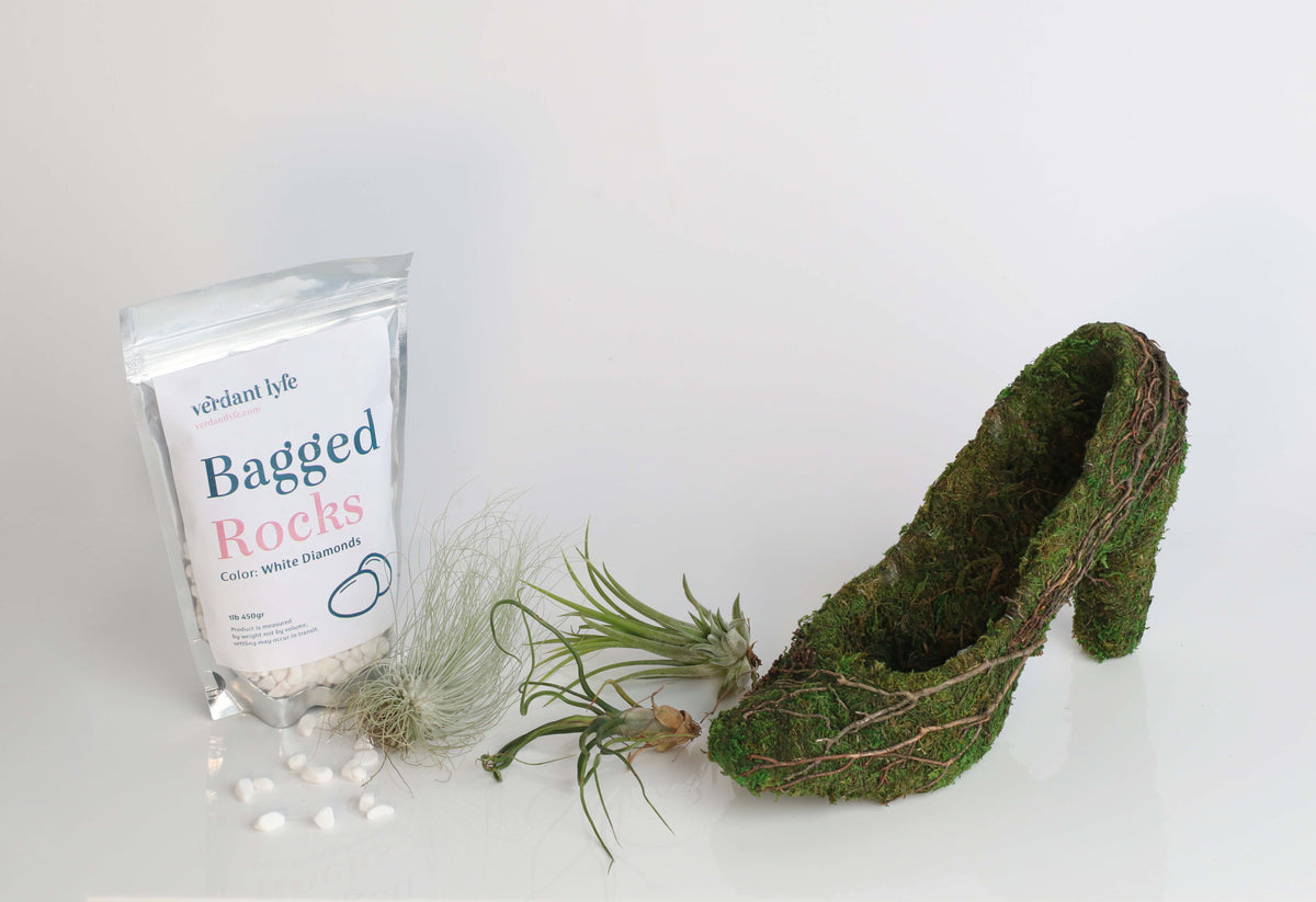 Stiletto Moss Planter Kit