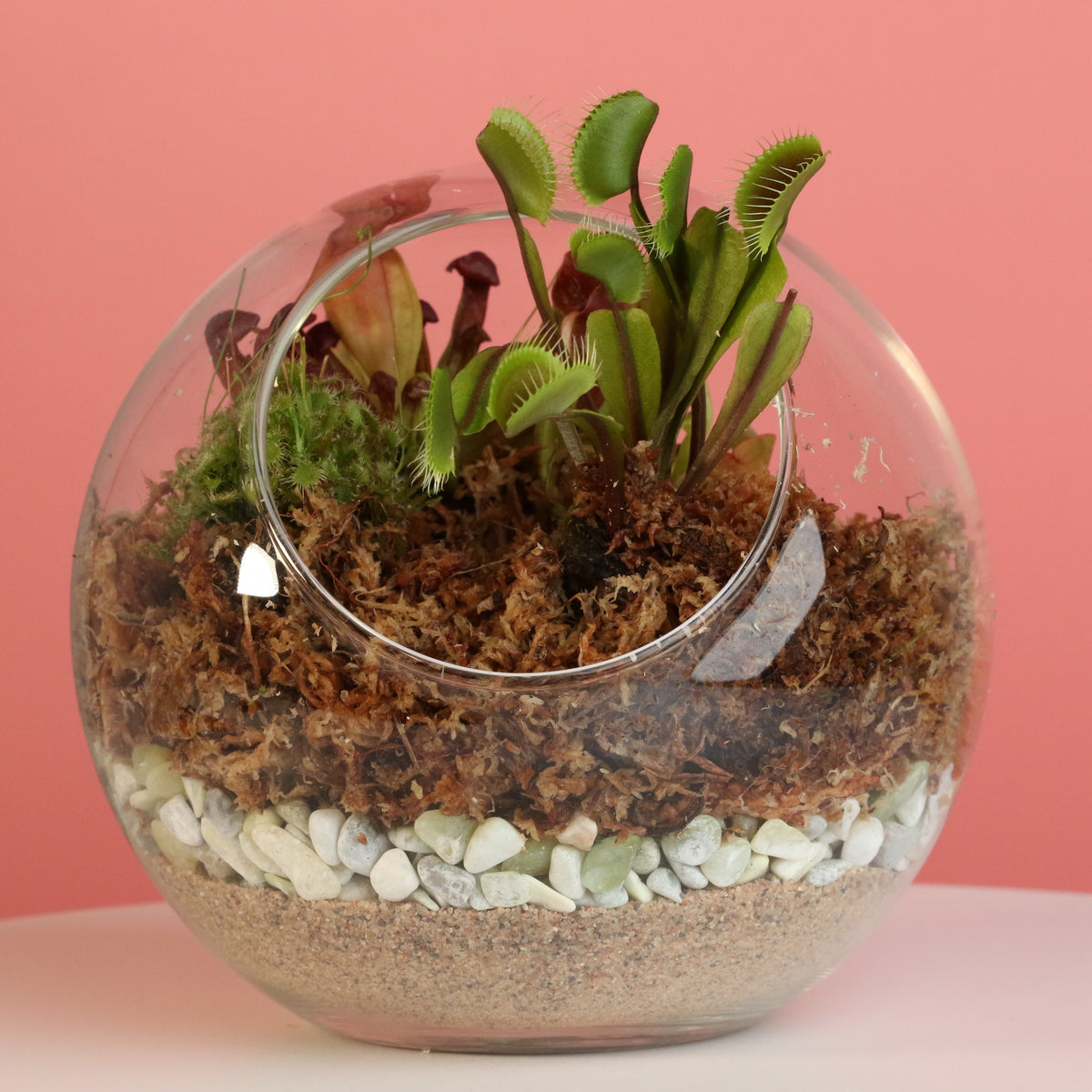 Terrarium Workshop - Thursday, April 16th 2026 at 6:00 pm