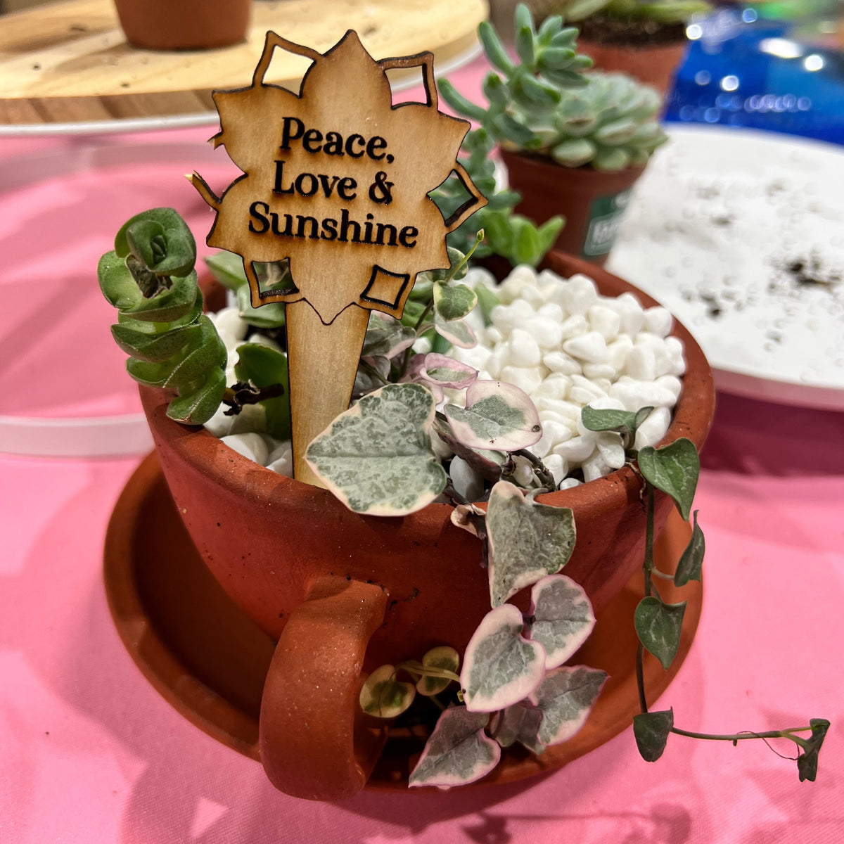 Succulent Arrangement Workshop - Thursday, January 29th 2026, at 6:00 pm