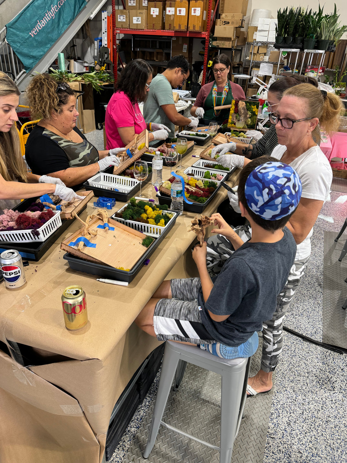 Moss Art Frame Workshop - Thursday, November 20th, 2025 at 6:00 pm