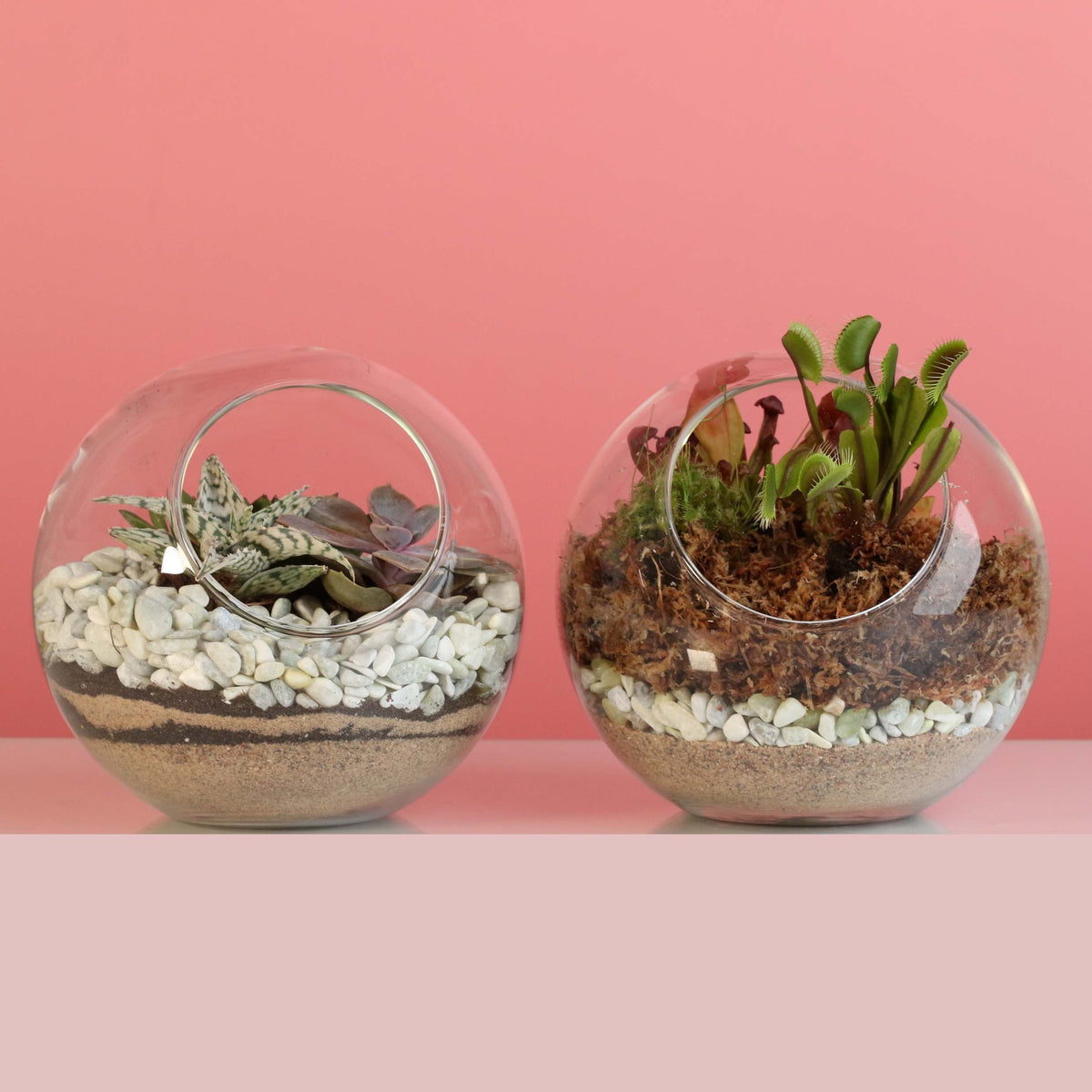 Terrarium Workshop - Thursday, April 16th 2026 at 6:00 pm