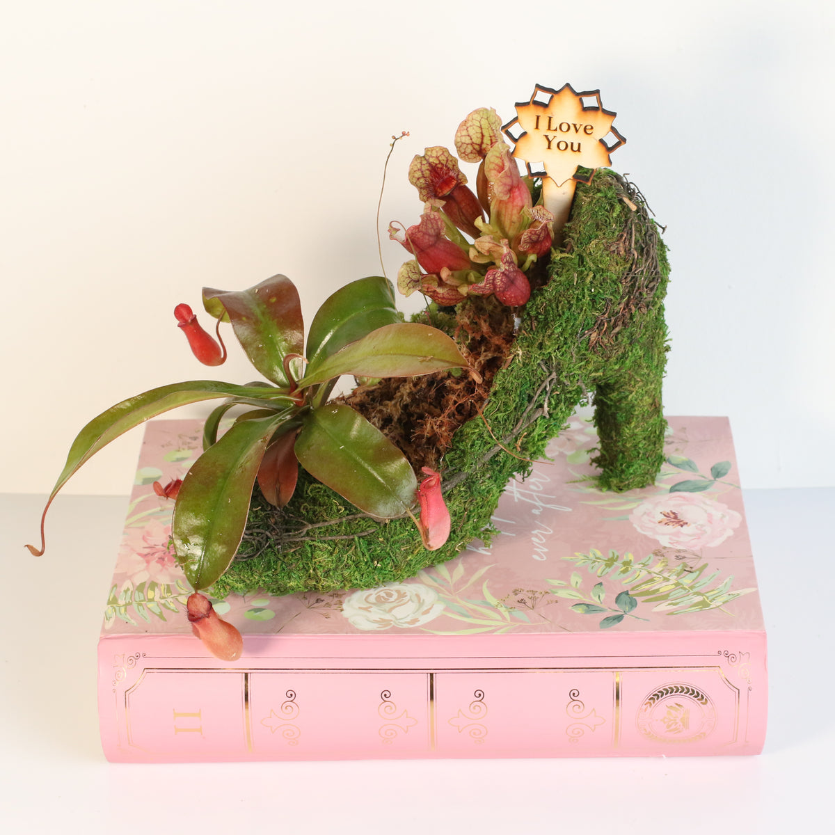 Carnivorous Chic in Heels Kit -DIY