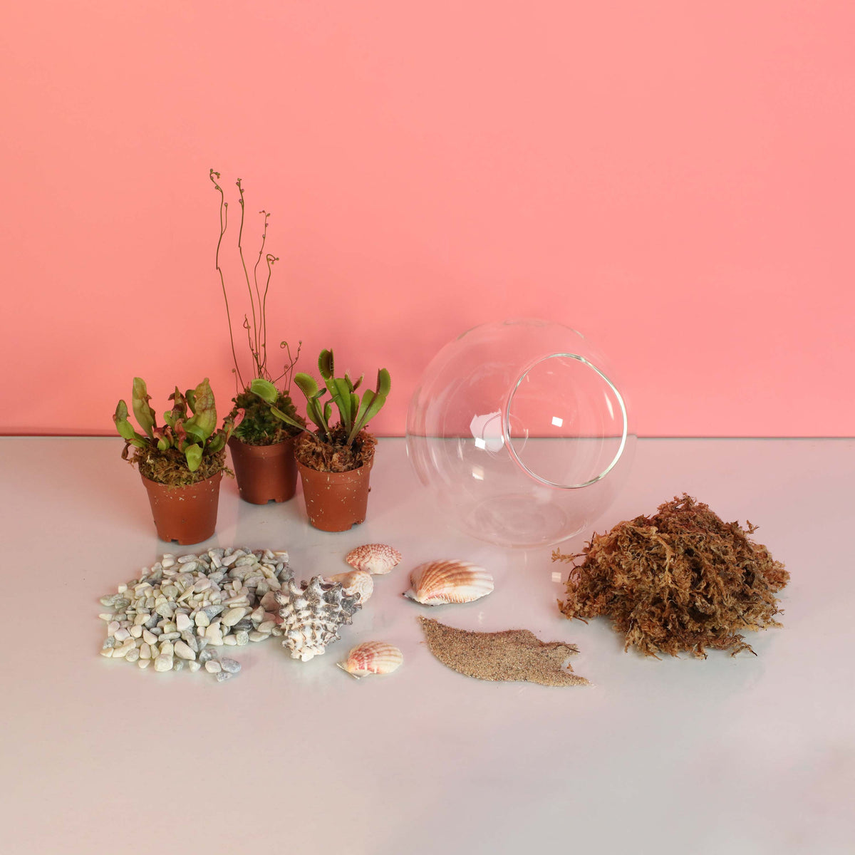 Terrarium Workshop - Thursday, April 16th 2026 at 6:00 pm