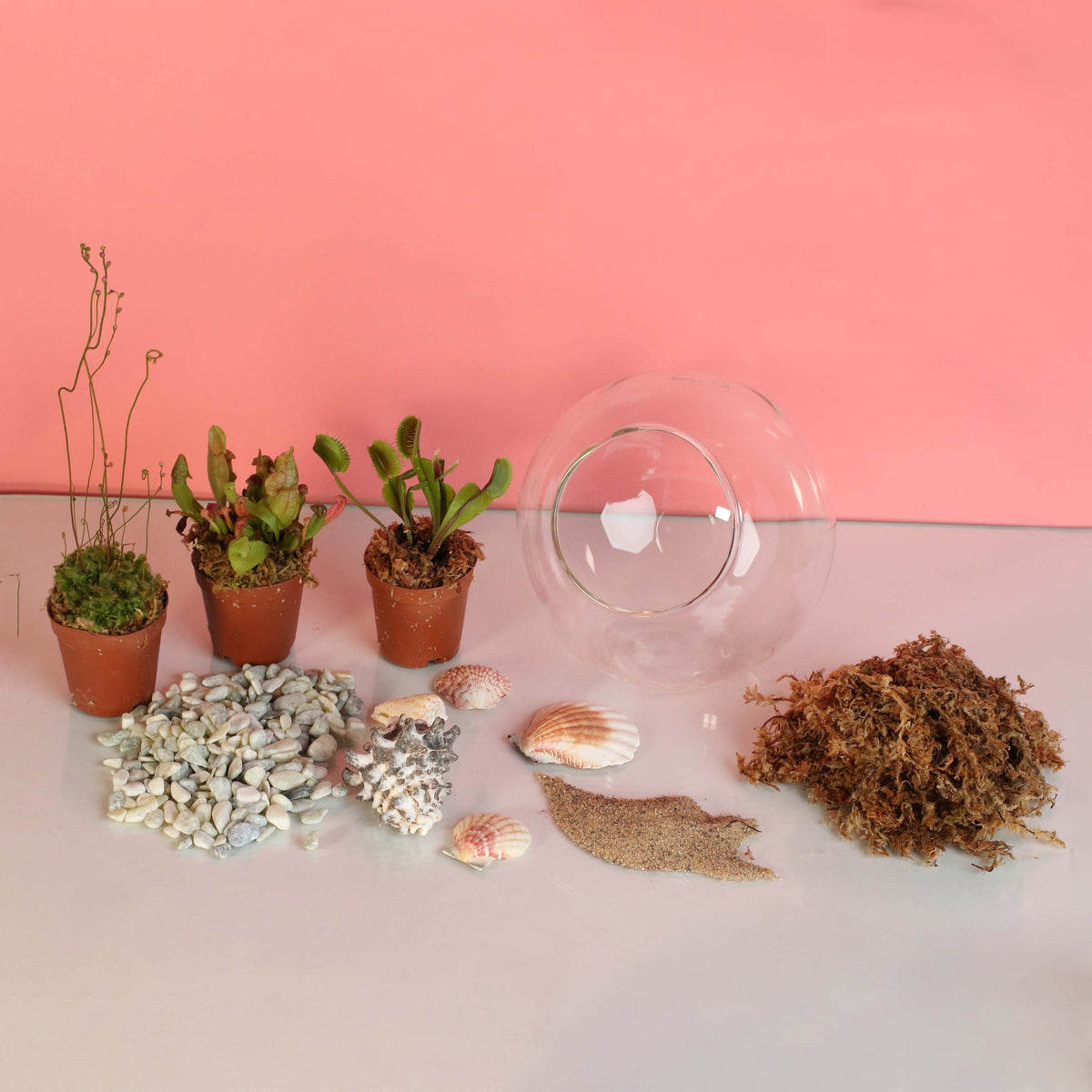 Terrarium Workshop - Thursday, April 16th 2026 at 6:00 pm