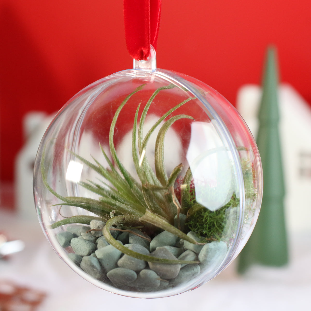 Air Plant Ornament