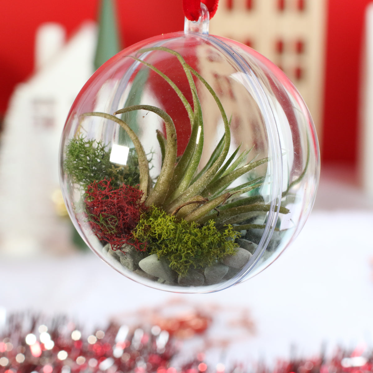 Air Plant Ornament
