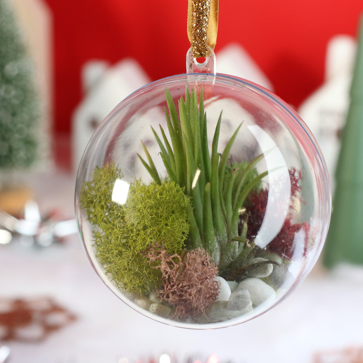 Air Plant Ornament