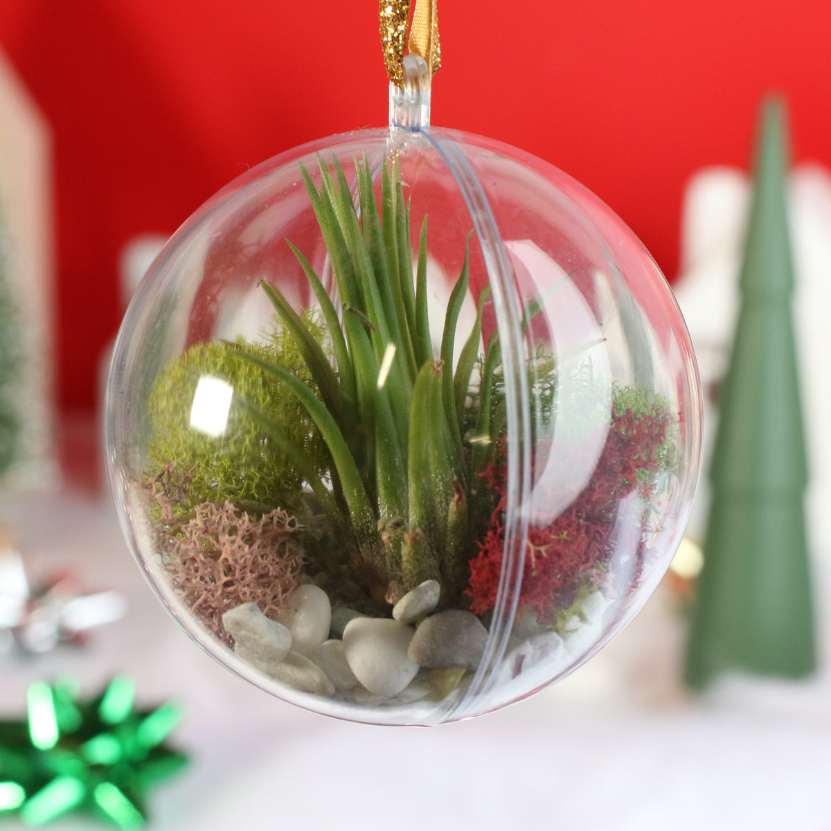 Air Plant Ornament