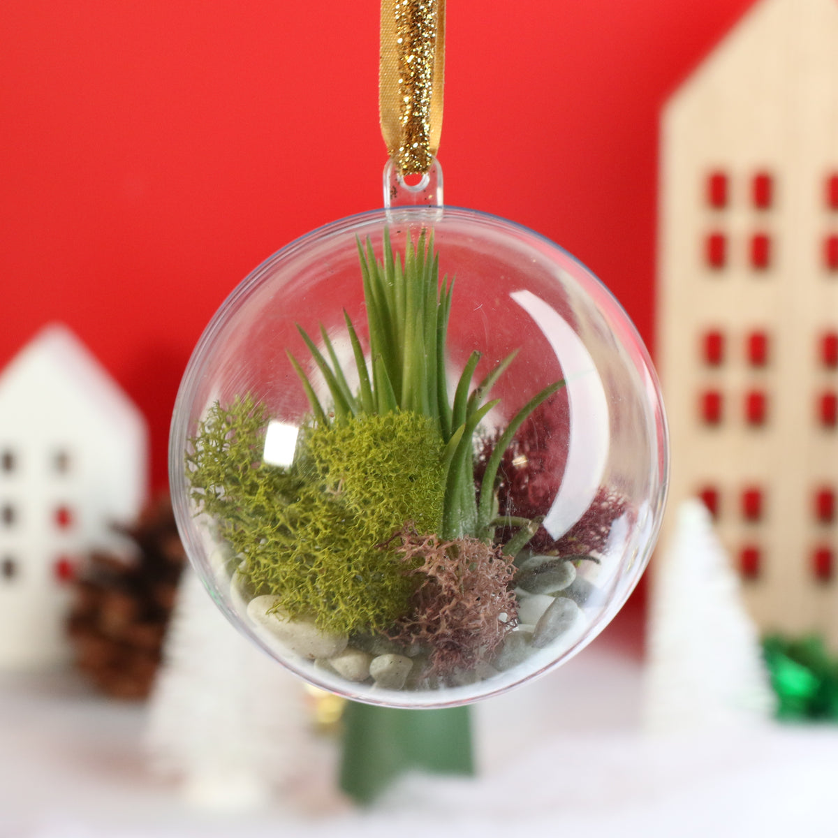 Air Plant Ornament