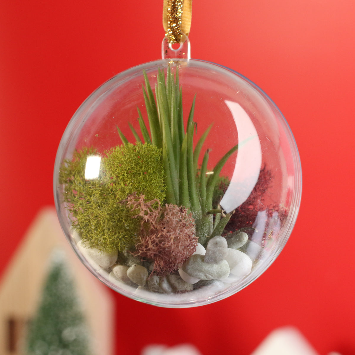 Air Plant Ornament