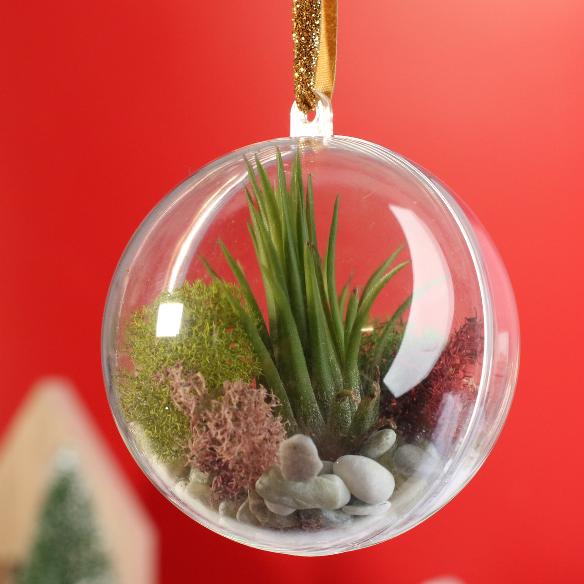 Air Plant Ornament