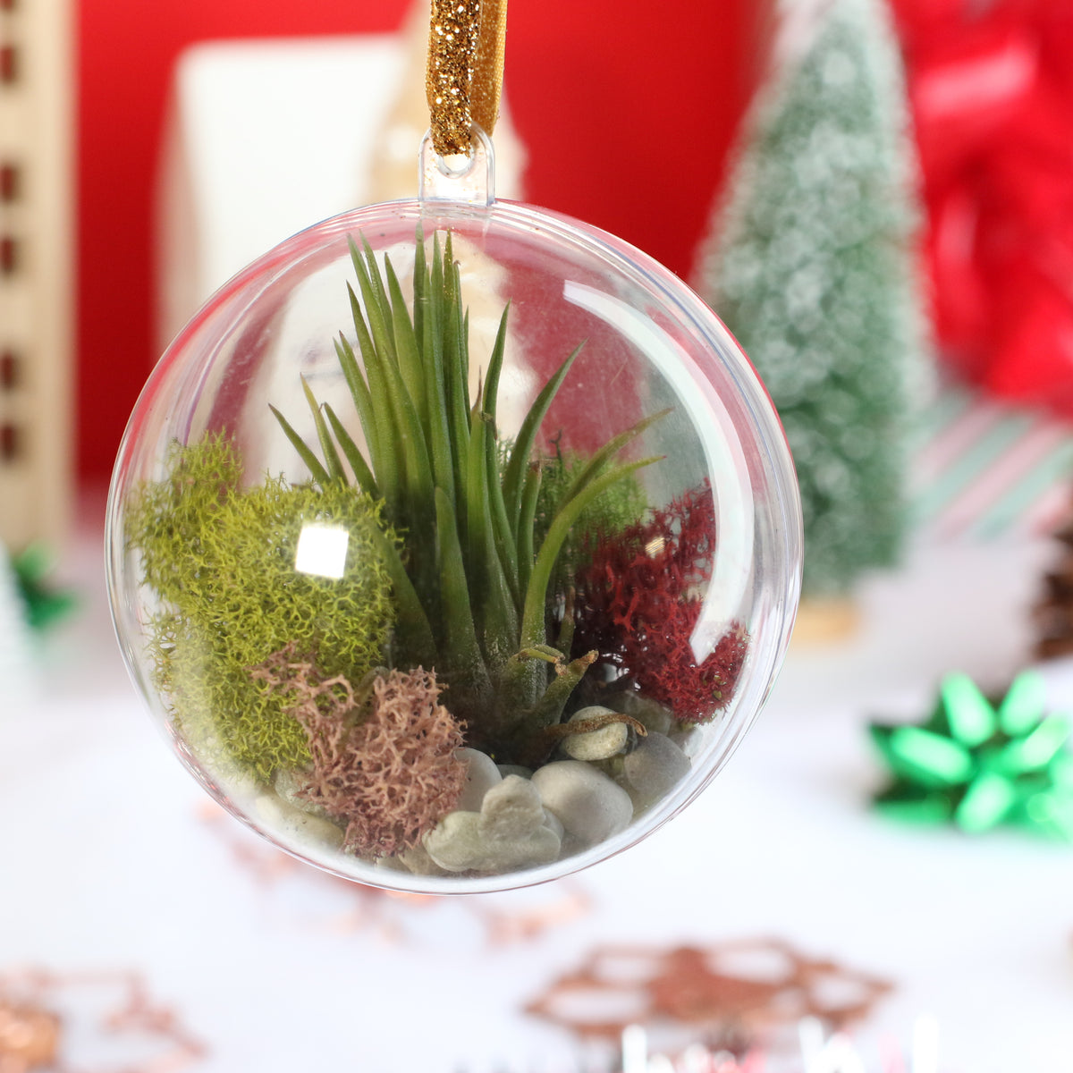 Air Plant Ornament
