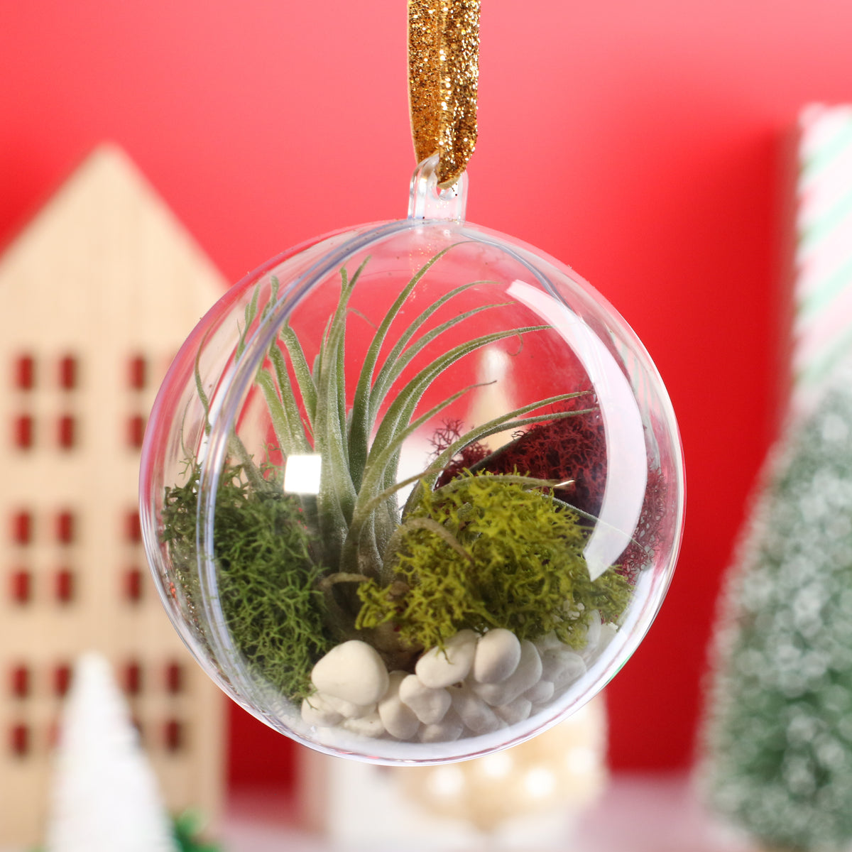 Air Plant Ornament