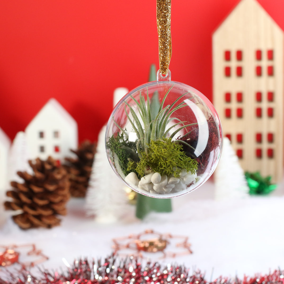 Air Plant Ornament