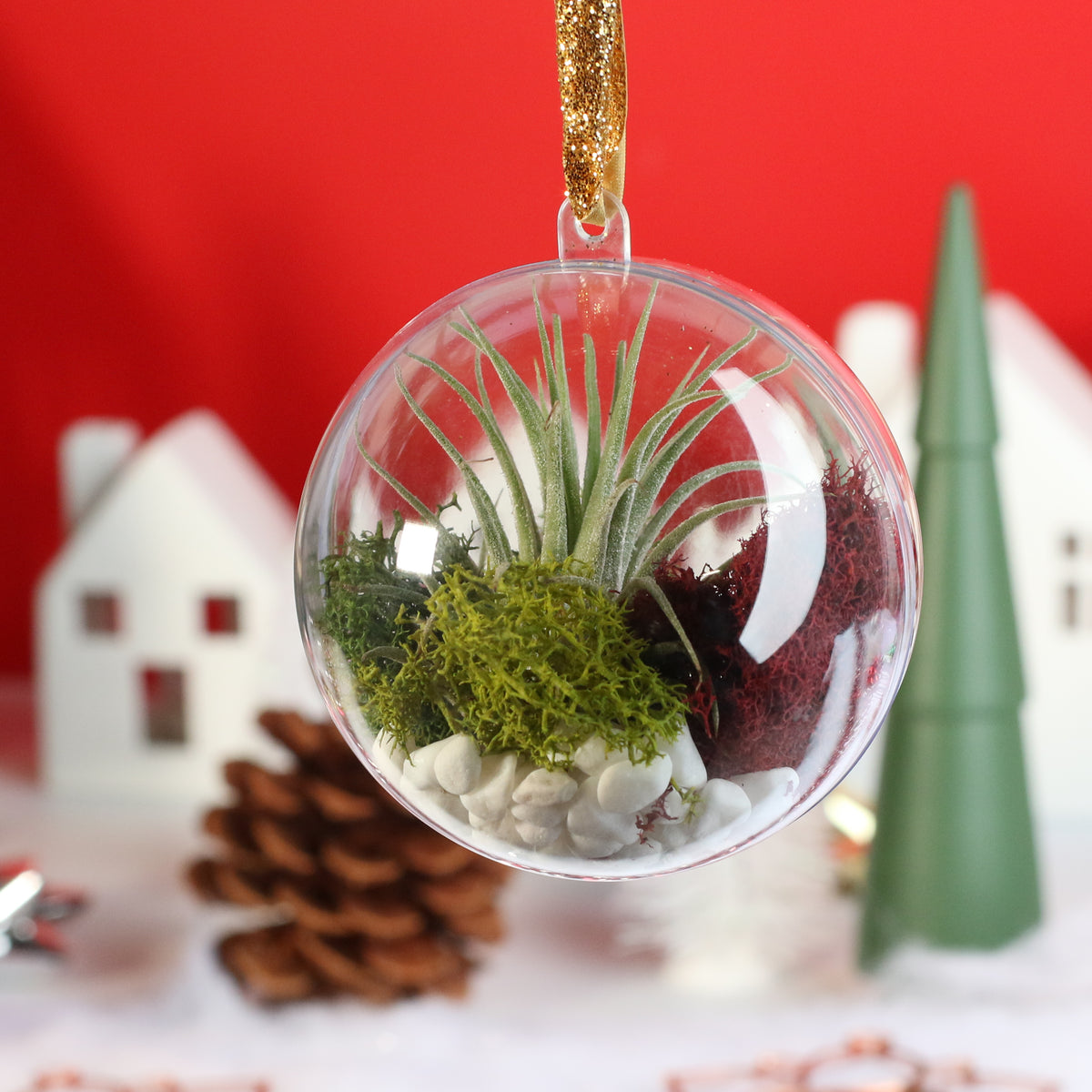 Air Plant Ornament