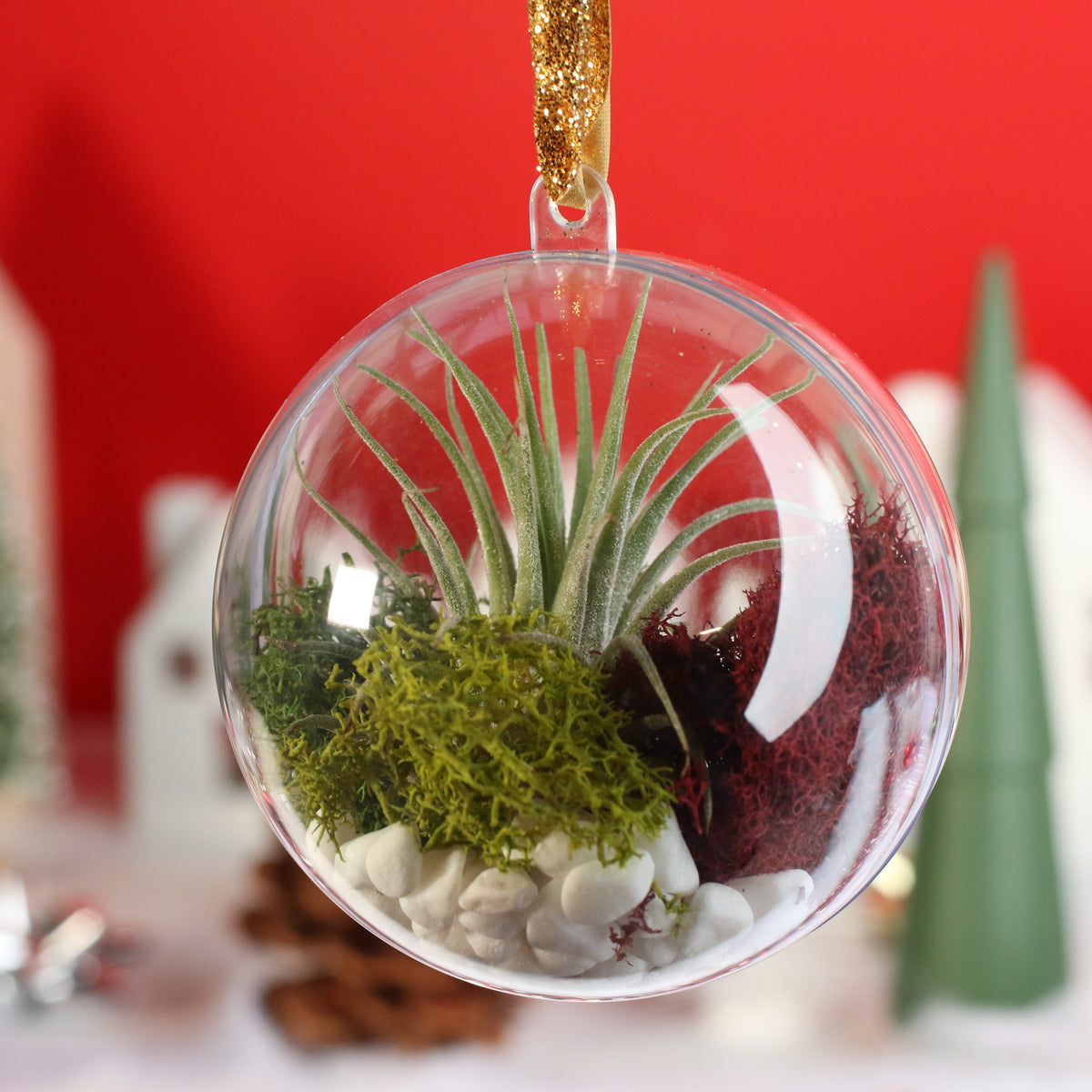 Air Plant Ornament
