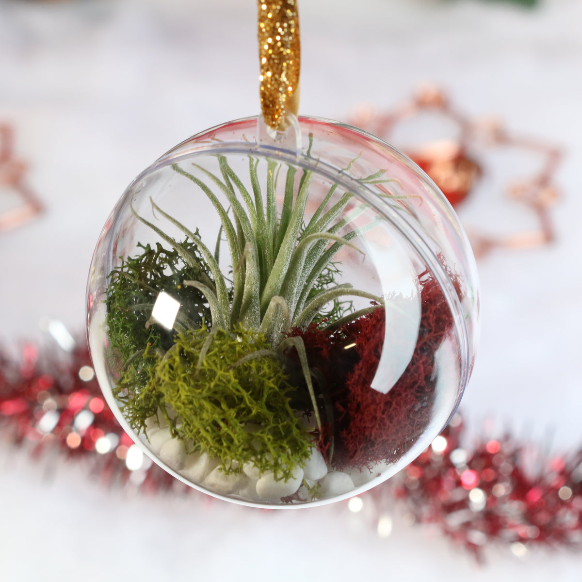 Air Plant Ornament