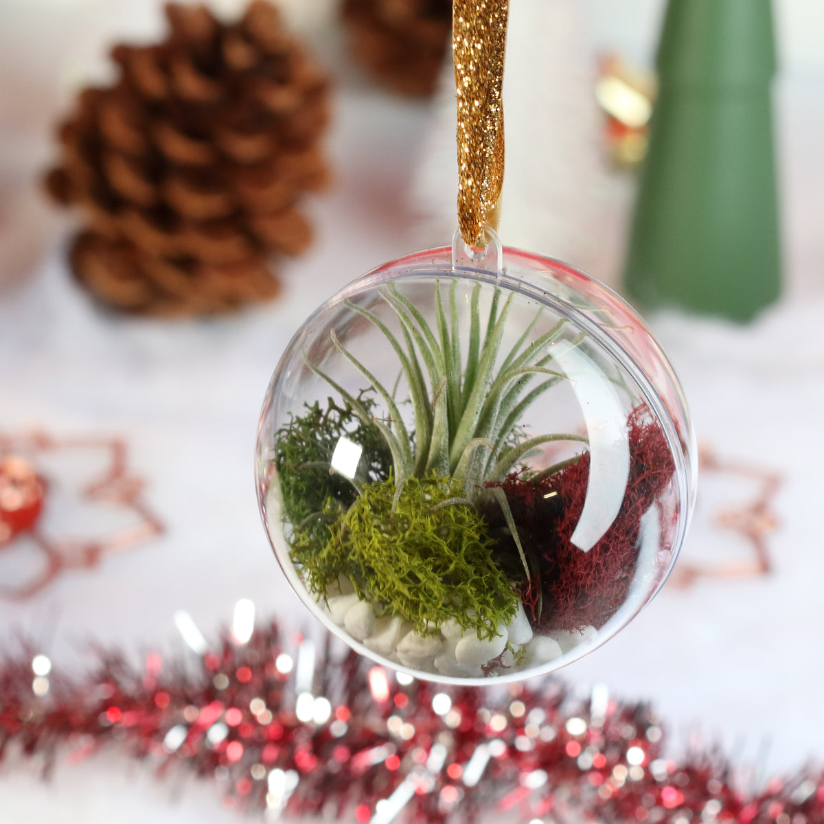 Air Plant Ornament