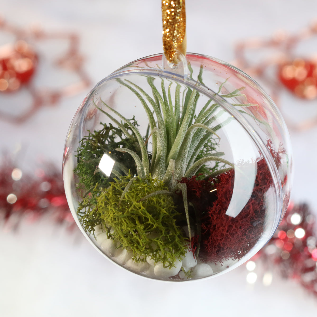 Air Plant Ornament