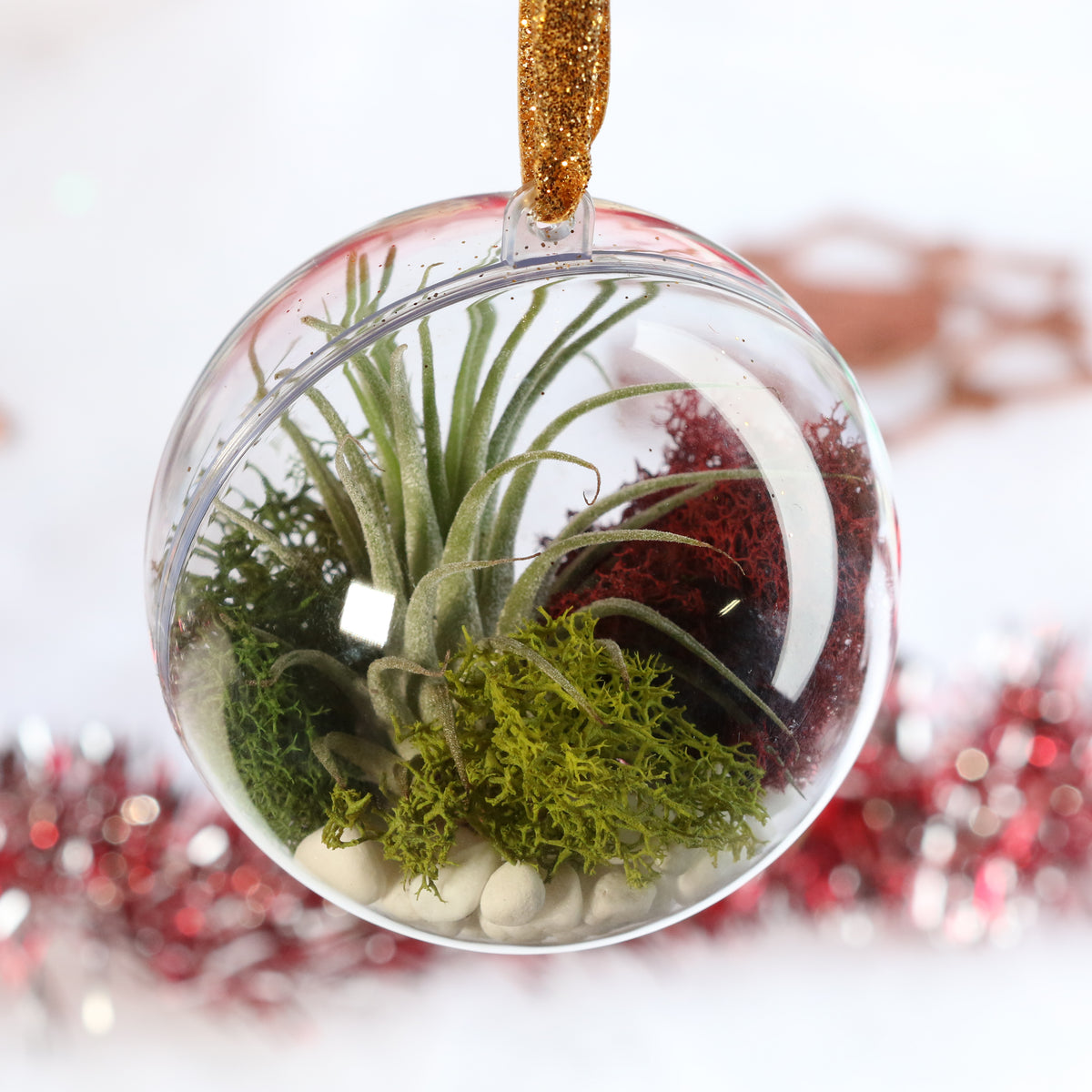 Air Plant Ornament