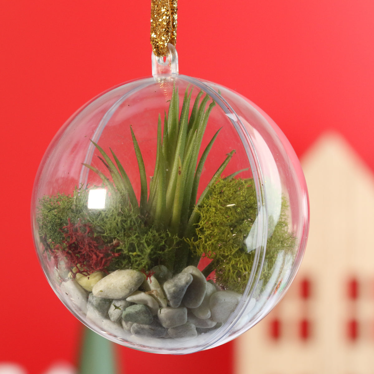 Air Plant Ornament