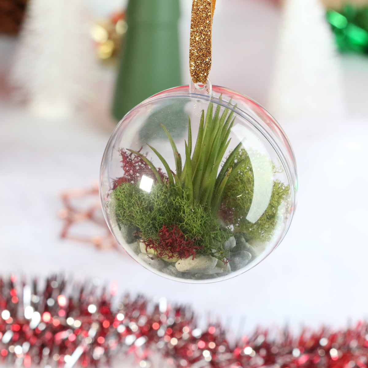Air Plant Ornament
