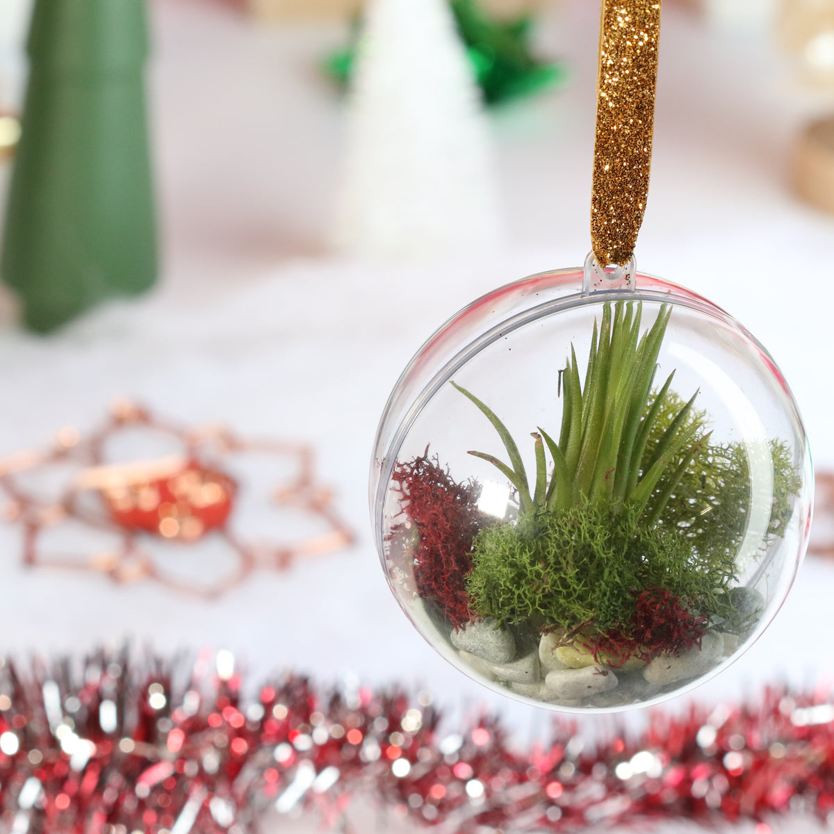 Air Plant Ornament