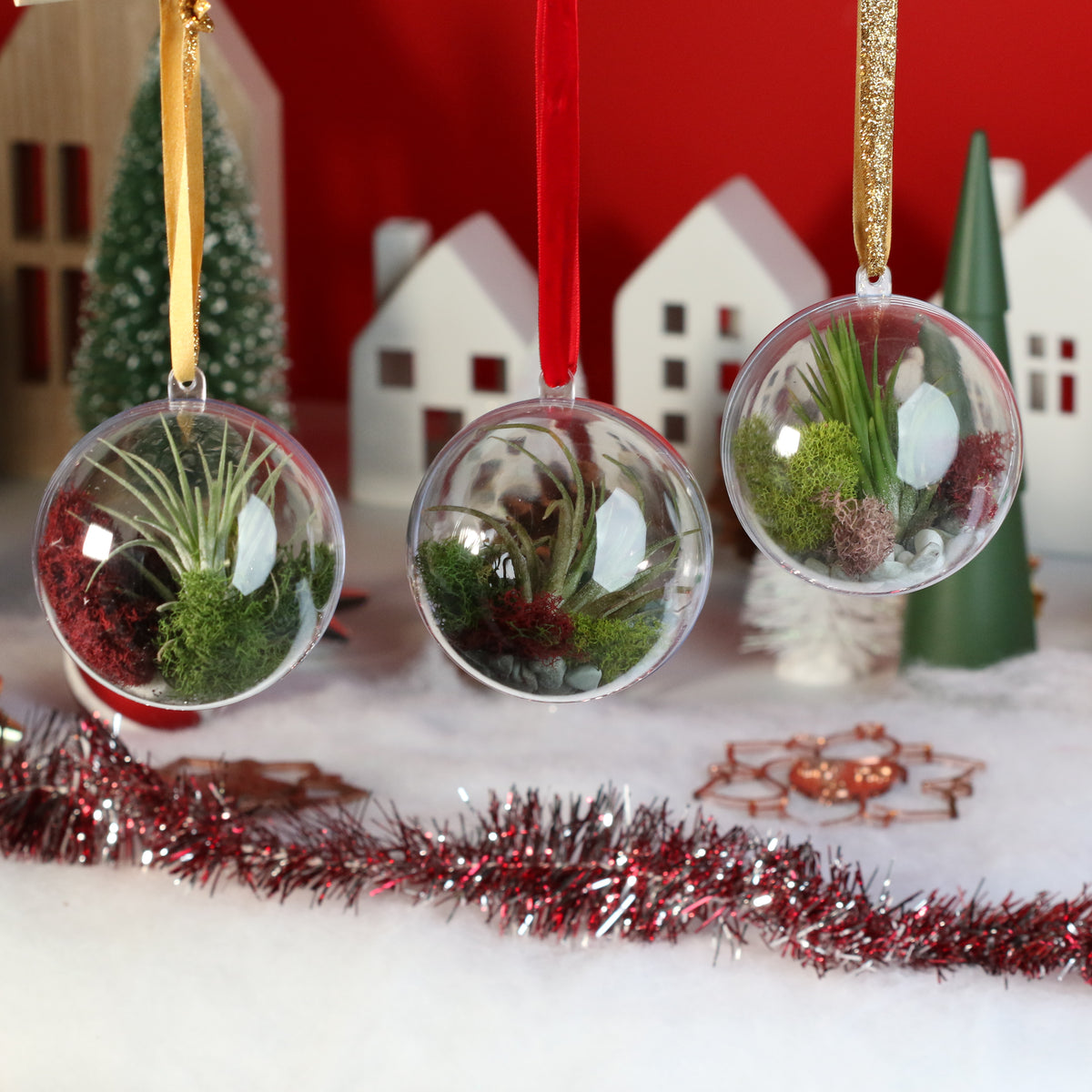 Air Plant Ornament