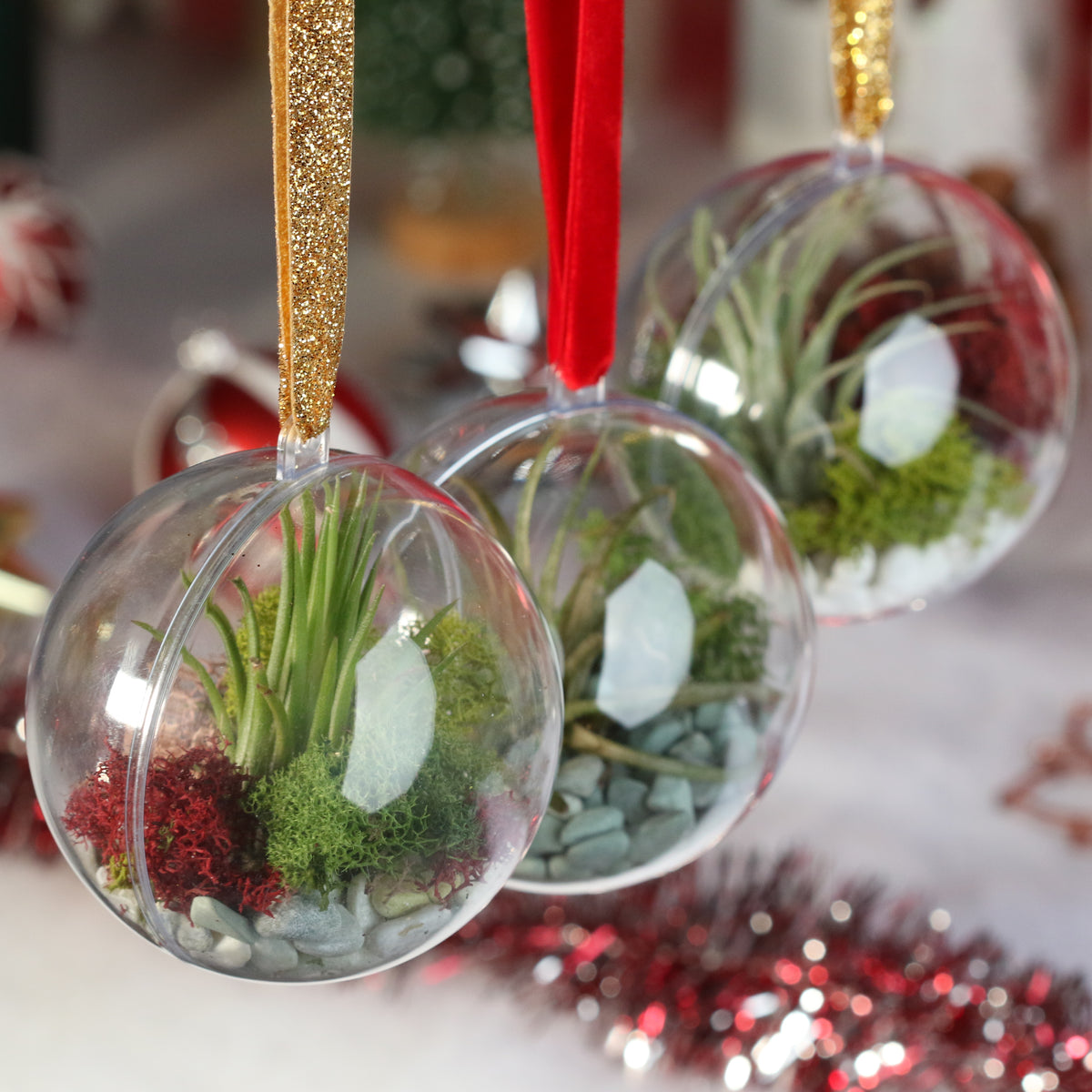 Air Plant Ornament