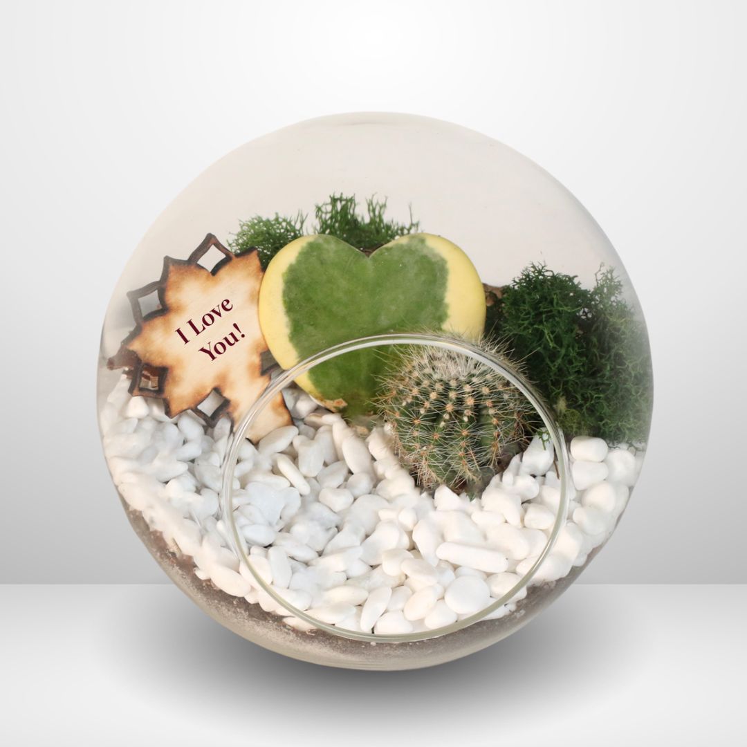 Terrarium Kit