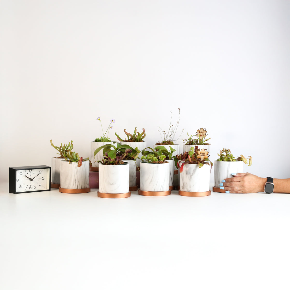 Daphne Ceramic 4.5" Planter - Empty