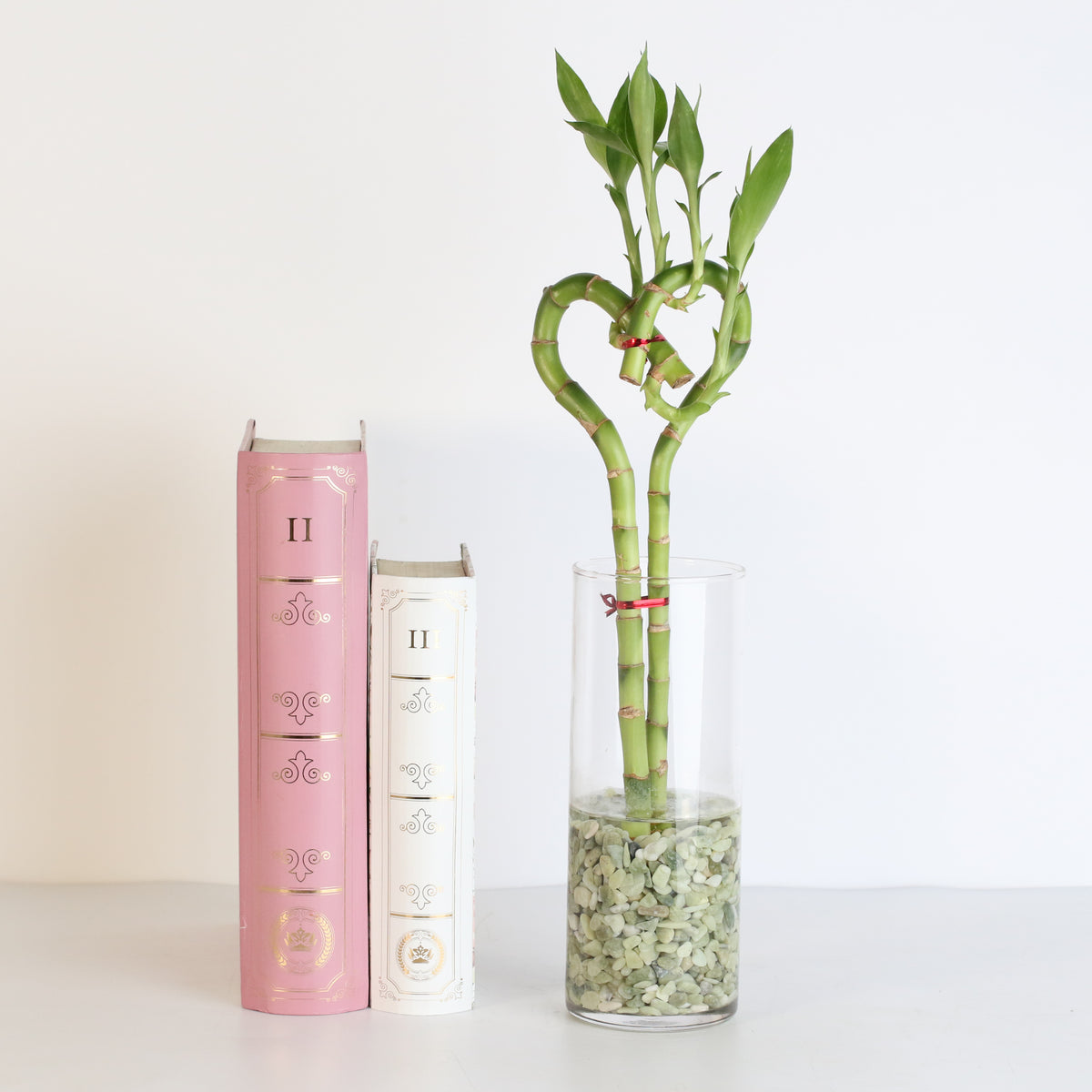 Lucky Bamboo Heart Stalks Water Plant next to books.