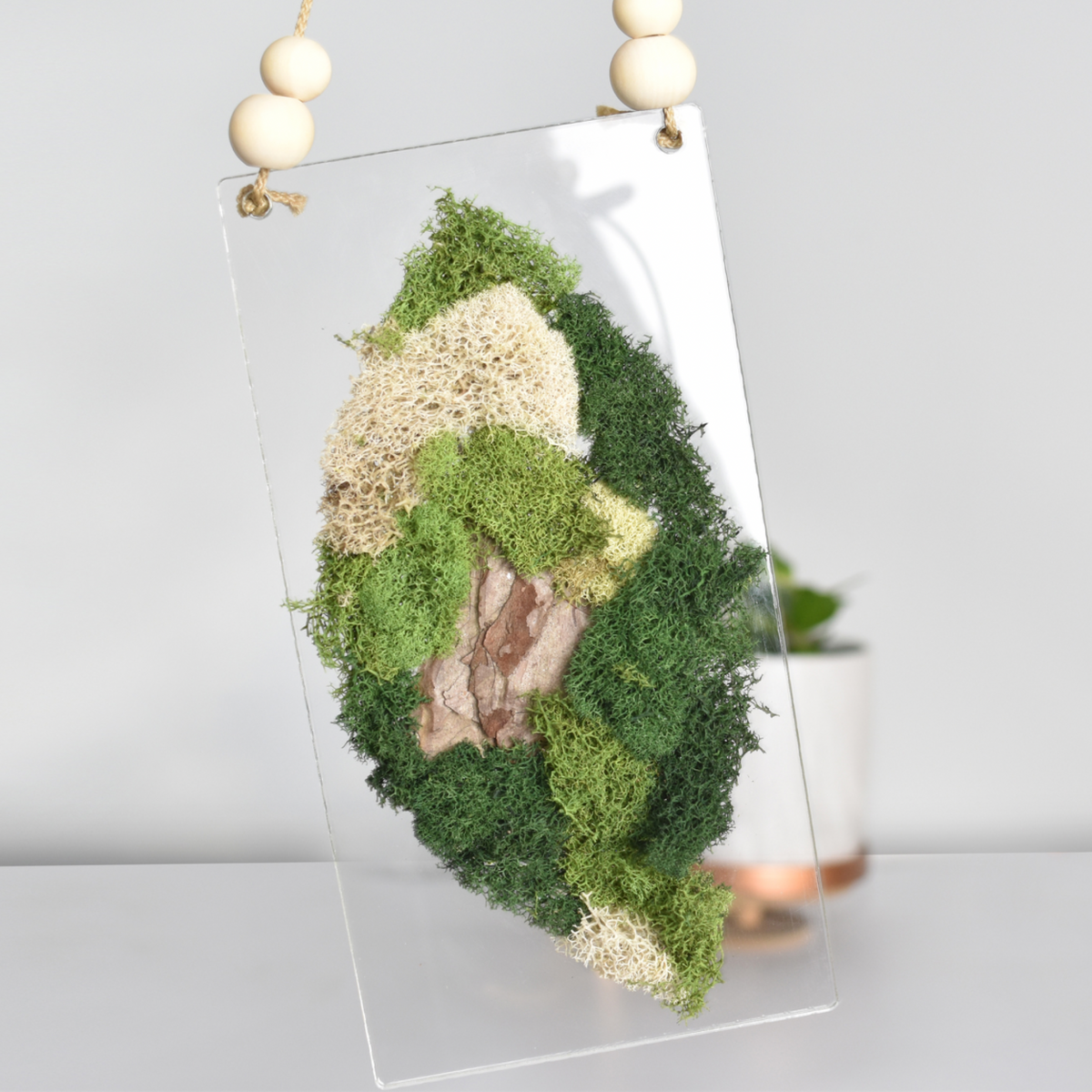 Moss Art DIY Kit Leaf Shape Hanging