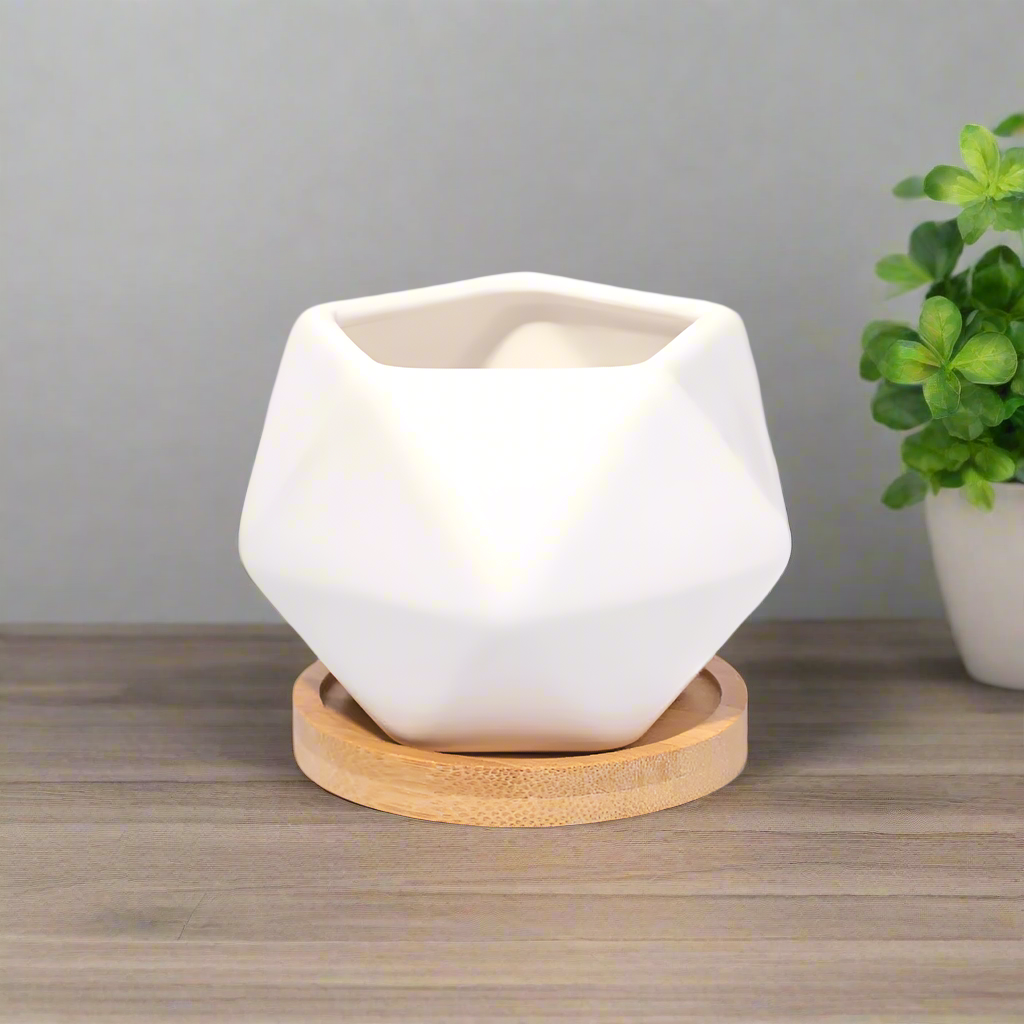 White geometric ceramic planter with wooden base on a wooden surface