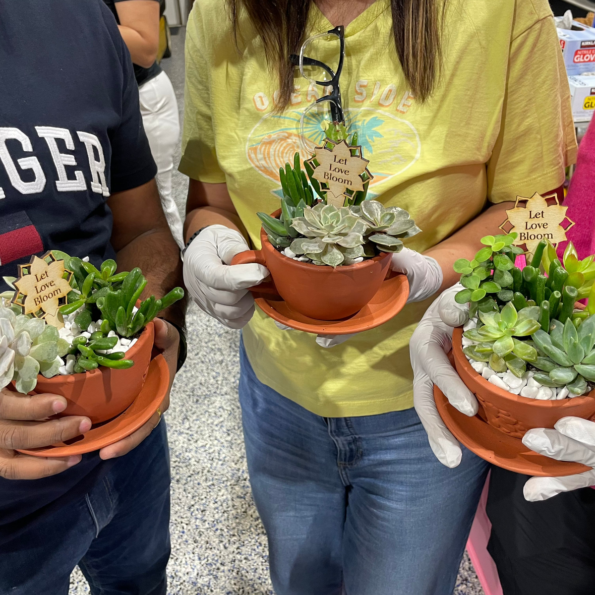 Succulent Arrangement Workshop - Thursday, January 29th 2026, at 6:00 pm