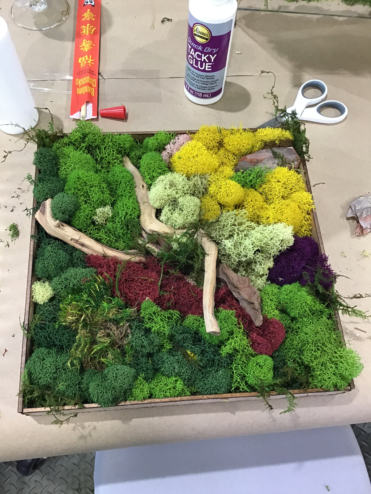 Moss Art Frame Workshop - Thursday, November 20th, 2025 at 6:00 pm