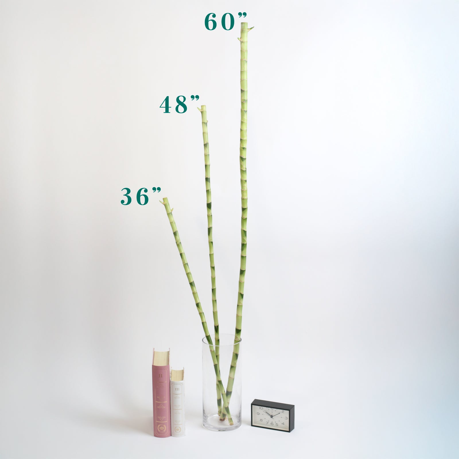 3 Different Size Bamboo Stalks.