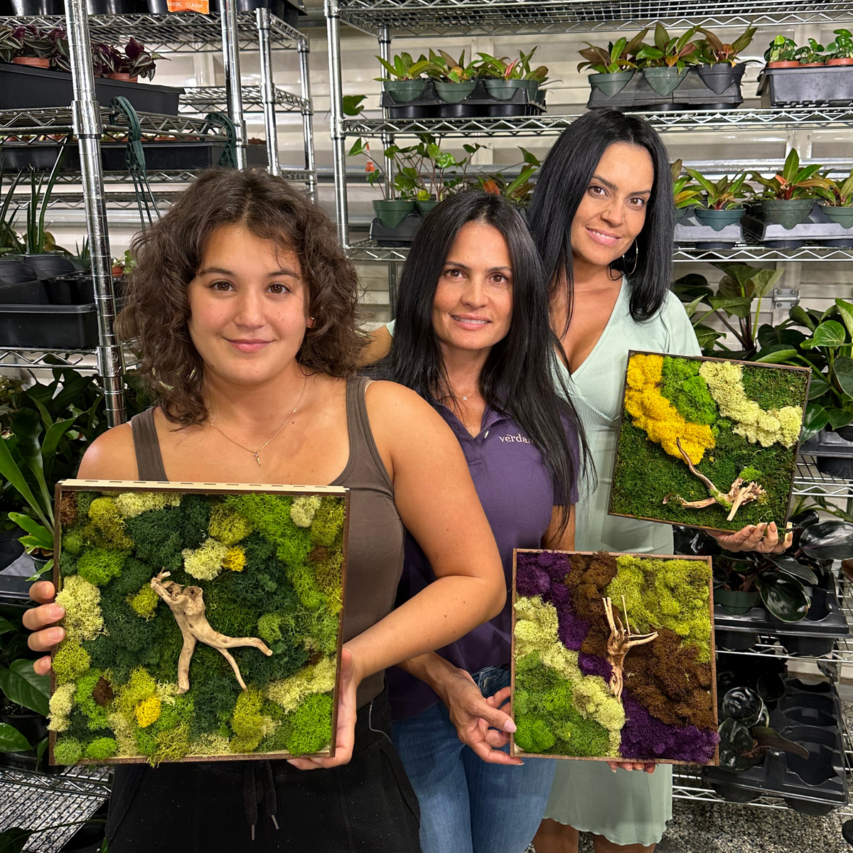 Moss Art Frame Workshop - Thursday, November 20th, 2025 at 6:00 pm