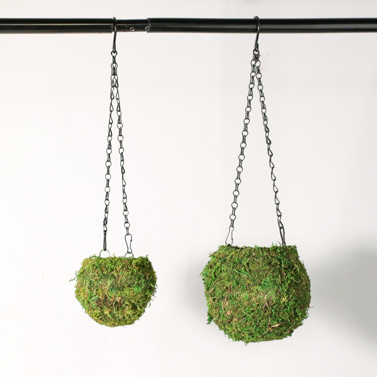 Fresh Green Kokedama Moss Hanging Planter Ball