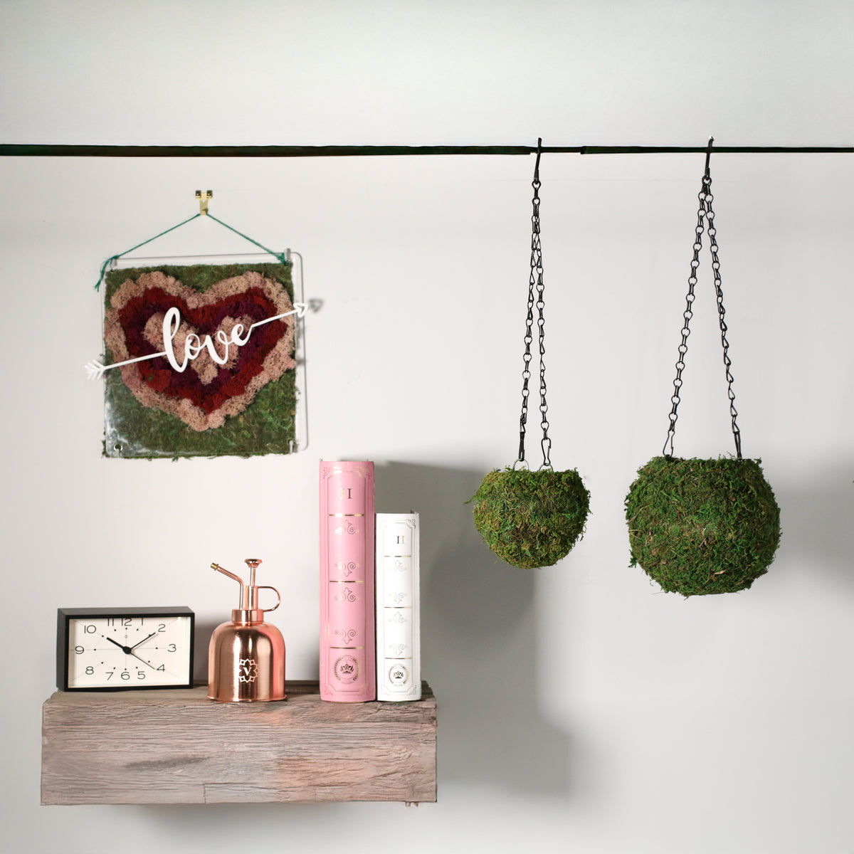 Fresh Green Kokedama Moss Hanging Planter Ball