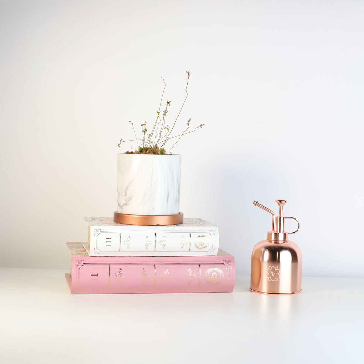 Pink Sundew in Daphne Ceramic 4.5" Planter on top of books next to water mister.