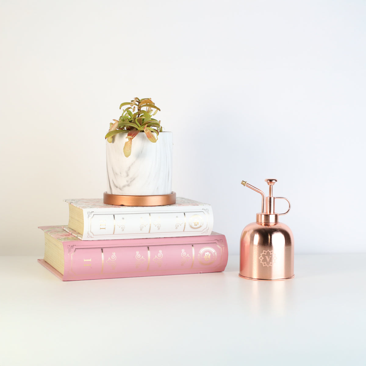 Nepenthes Sanguinea Carnivorous Plant in Daphne 4.5" Ceramic Planter on top of books next to mister.