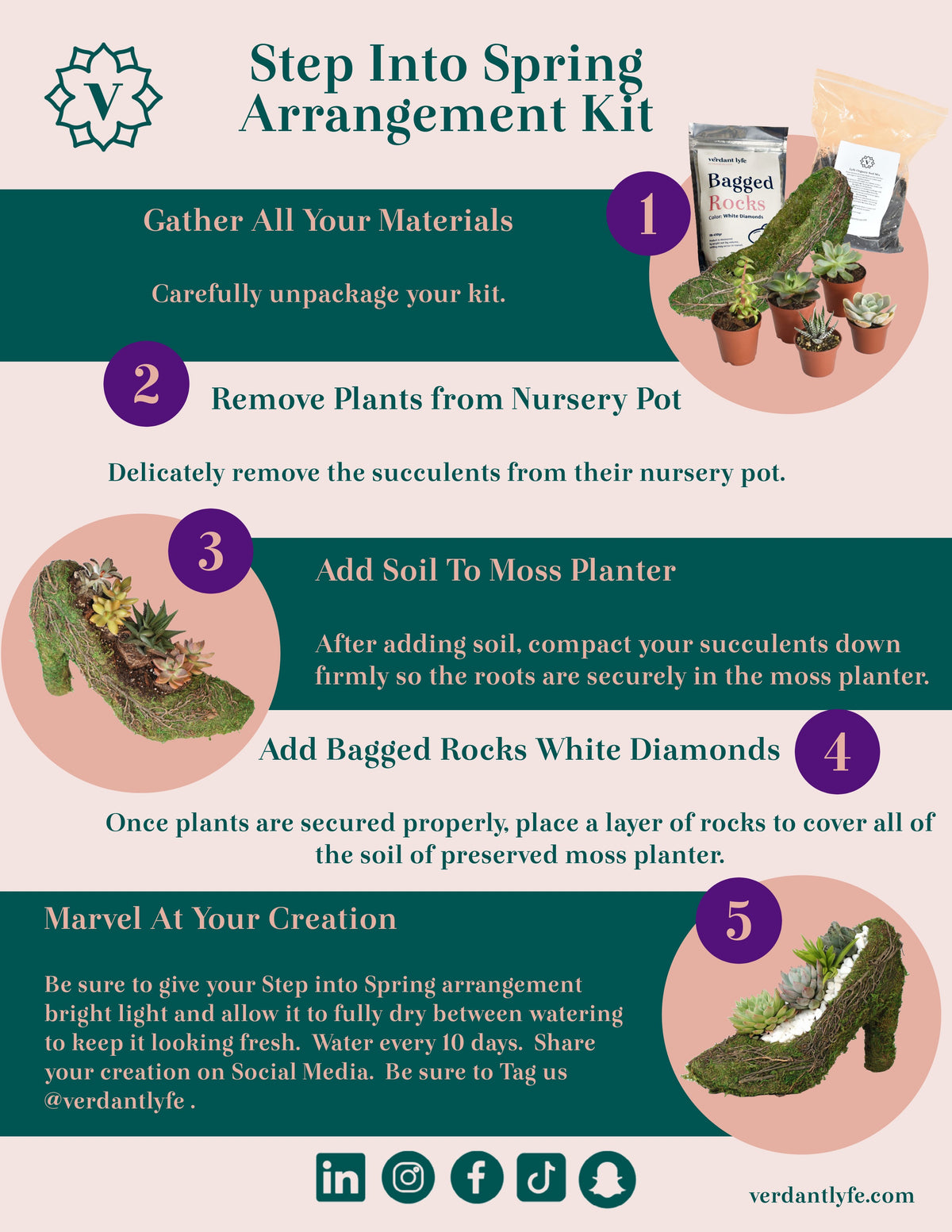 Stiletto Moss Planter Kit