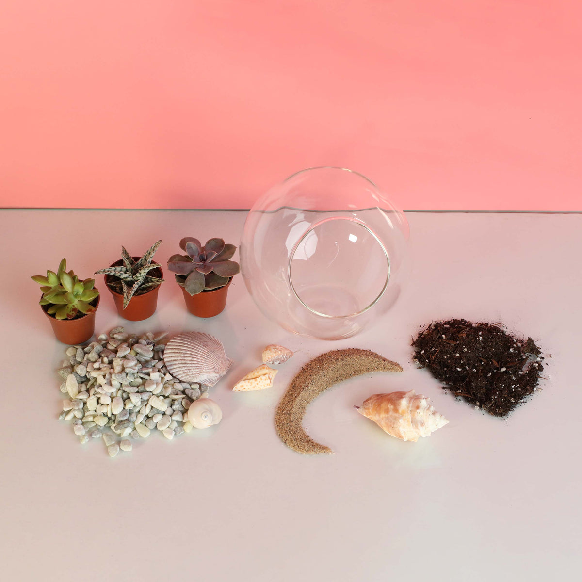 Terrarium Workshop - Thursday, April 16th 2026 at 6:00 pm