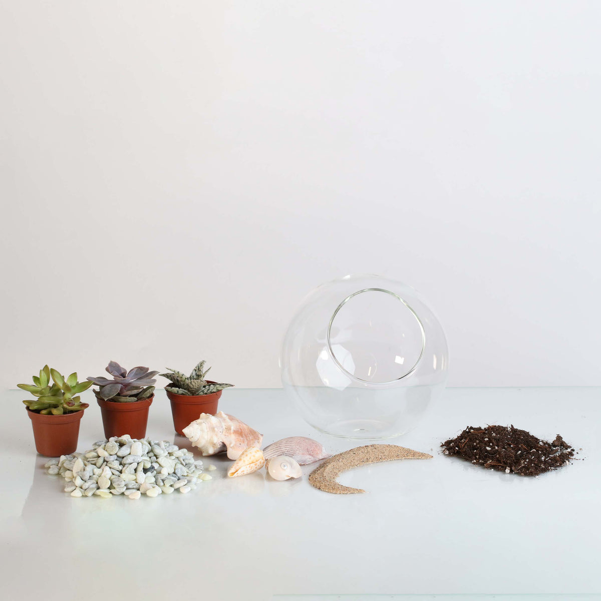 Terrarium Workshop - Thursday, April 16th 2026 at 6:00 pm