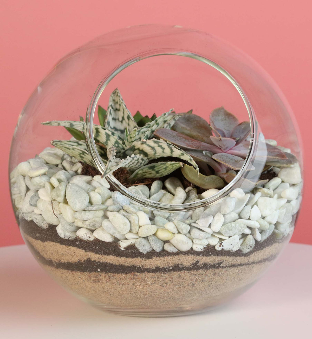 Terrarium Workshop - Thursday, April 16th 2026 at 6:00 pm